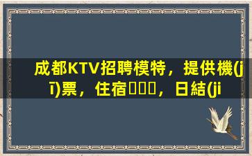 成都KTV招聘模特，提供機(jī)票，住宿，日結(jié)